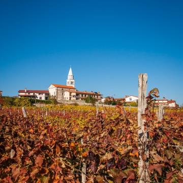 Pliskovica; vir: slotrips.si.